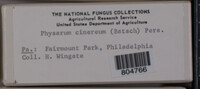 Image Associated With the Occurence